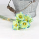 Sasanky zväzok kvetov - 6 ks - modrozelená