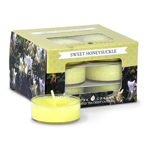 Vonné čajové svíčky Goose Creek Candle "Sweet Honeysuckle" - 12ks