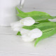 Jarní tulipán - bílý 1 ks