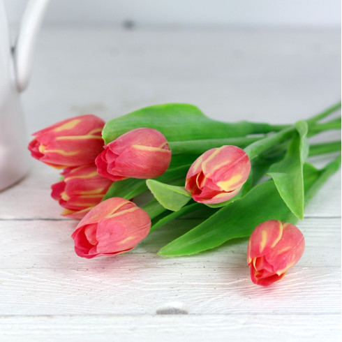 Jarný tulipán - červenožltý 1ks