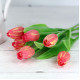 Jarní tulipán - červenožlutý 1ks