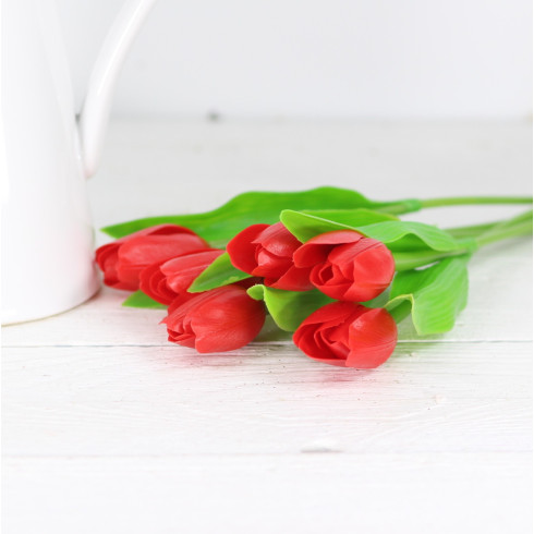 Jarný tulipán - červený 1 ks