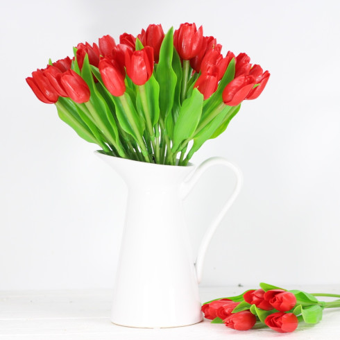 Jarný tulipán - červený 1 ks
