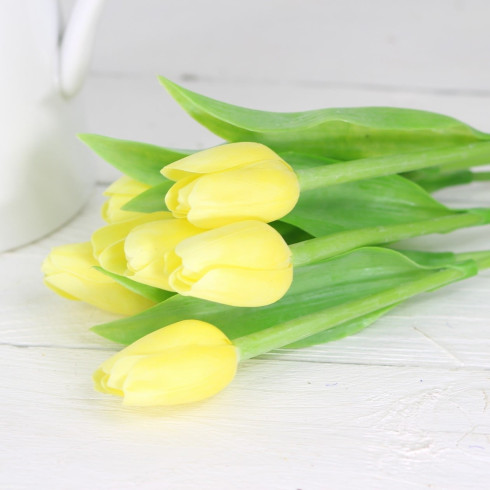 Jarný tulipán - citrónovo žltý 1 ks