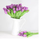 Jarní tulipán - fialový 1 ks
