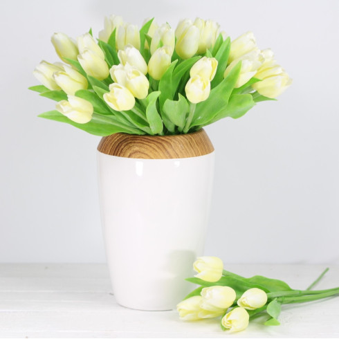 Jarní tulipán - krémový 1 ks