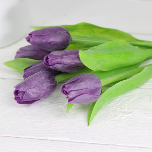 Jarný tulipán - levanduľový 1 ks