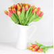Jarní tulipán - oranžovožlutý 1 ks