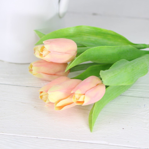 Jarný tulipán - ružovo žltý 1 ks Jarný tulipán - ružovo žltý 1 ks