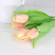 Jarný tulipán - ružovo žltý 1 ks 