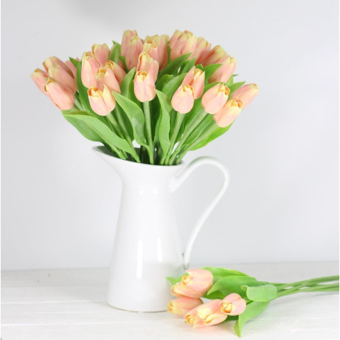 Jarný tulipán - ružovo žltý 1 ks 