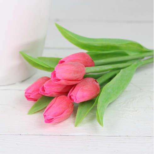 Jarný tulipán - sýto červený 1 ks