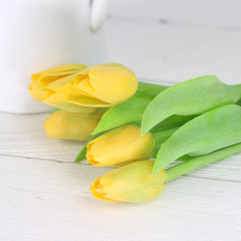 Jarný tulipán - tmavo žltý 1 ks Jarný tulipán - tmavo žltý 1 ks