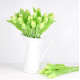 Jarní tulipán - zelený 1 ks