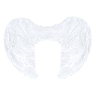 Bela angelska krila 54 × 37 cm