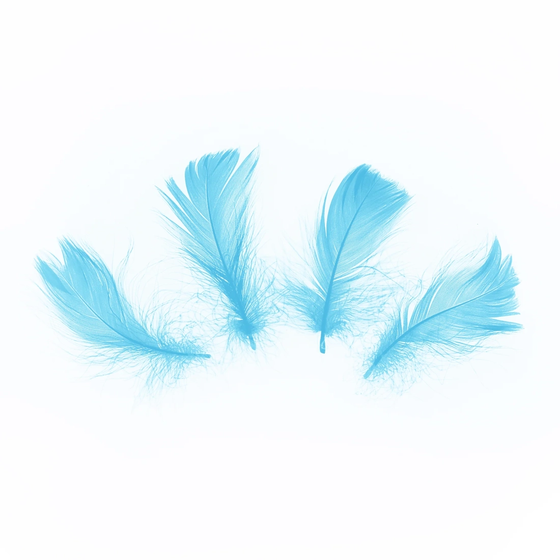 Confetti pene albastre, 50 buc.