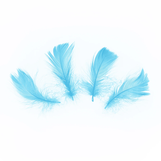Konfeti plava pera, 50 kom