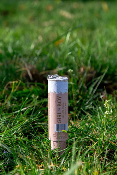 Modrá dýmovnice It's a Boy 22,5 cm – sada 5 ks pro odhalení pohlaví