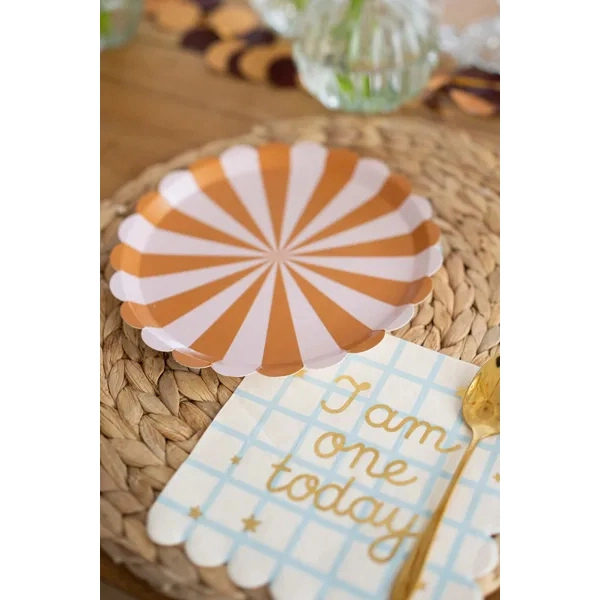 Farfurii din hârtie maro, mix, 21 cm, 6 buc.