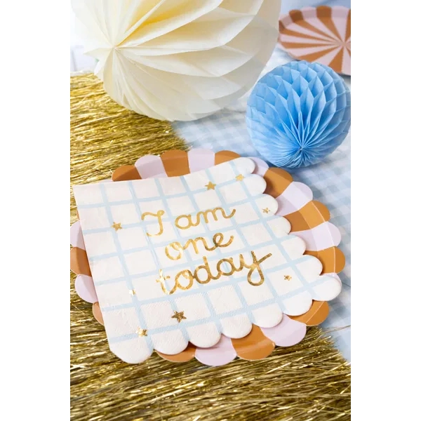 Farfurii din hârtie maro, mix, 21 cm, 6 buc.