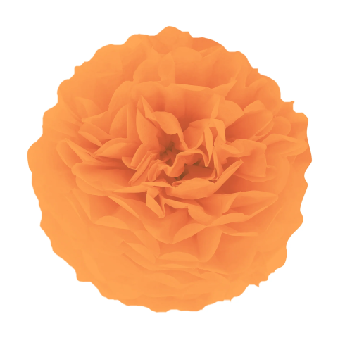 Papír pompom – narancssárga, 15 cm