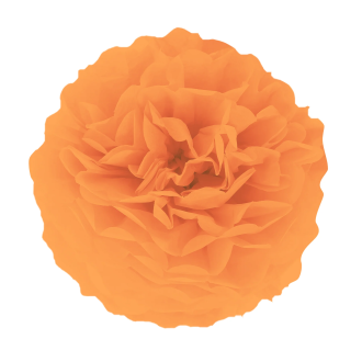 Papirnat pompon – oranžen, 35 cm