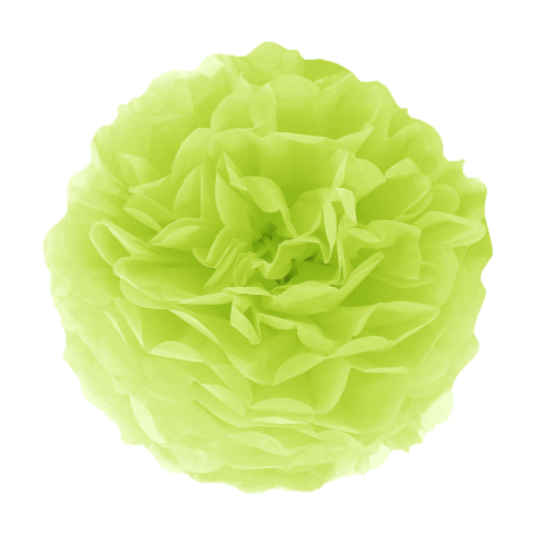 Papierový pompom - zelený 35 cm Papierový pompom - zelený 35 cm