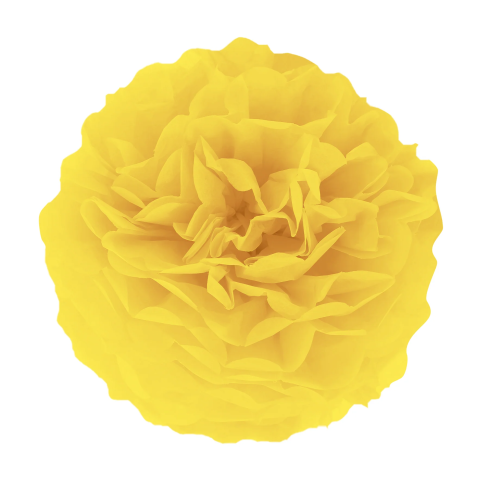 Papír pompom – sárga, 25 cm