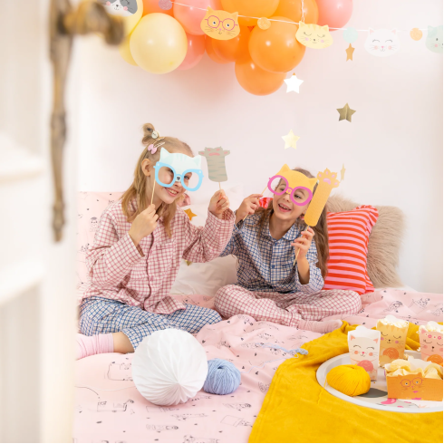 Rekviziti za fotografiranje Muce 14 kosov