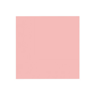 Rožnati prtički, 10 kosov