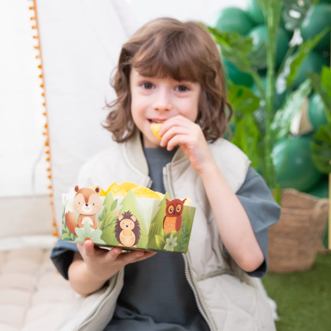 Chipszes dobozok – Erdei állatkák, 3 db