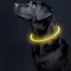 LED svietiaci nastaviteľný obojok pre psy