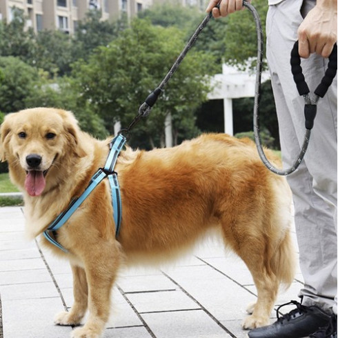 Reflexné výcvikové vodítko 3 m