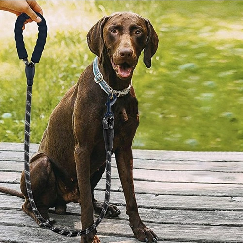 Reflexní výcvikové vodítko 3 m