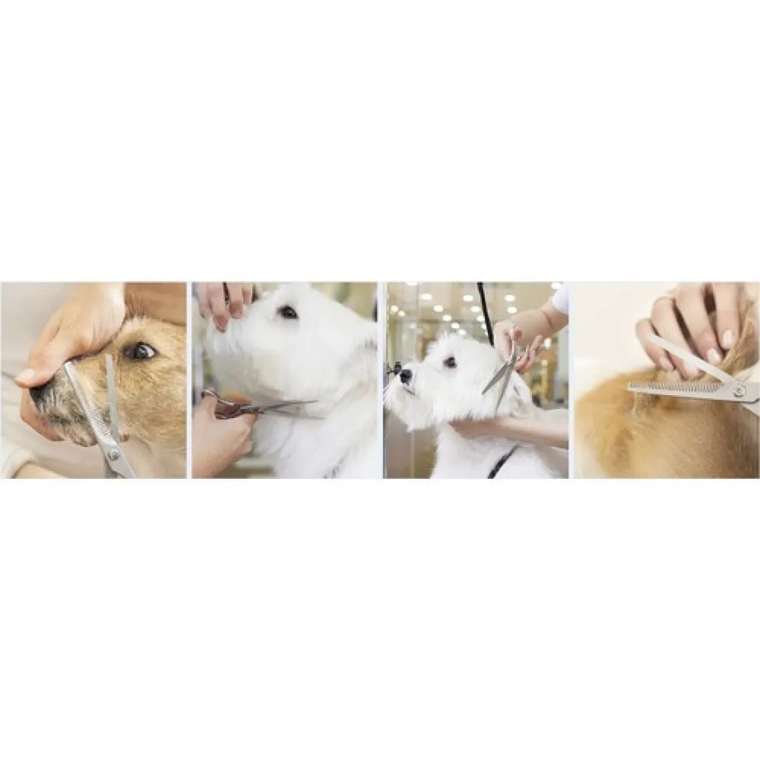 Sada nůžek a příslušenství ke stříhání srsti 9v1