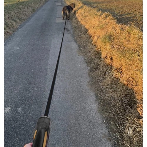 Samonavíjecí vodítko pro psy, 8m/50kg