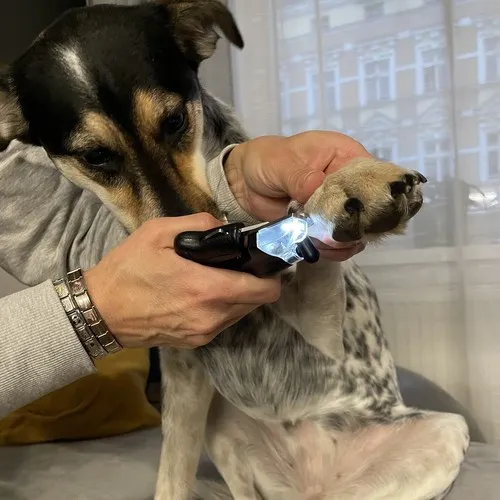 Zastřihovač na drápy pro psa/kočku