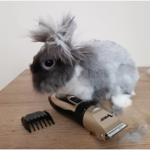 Strojek na stříhání pro zvířata