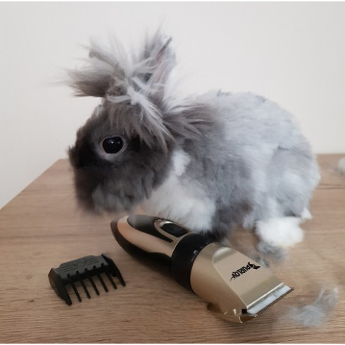 Strojček na strihanie pre zvieratá