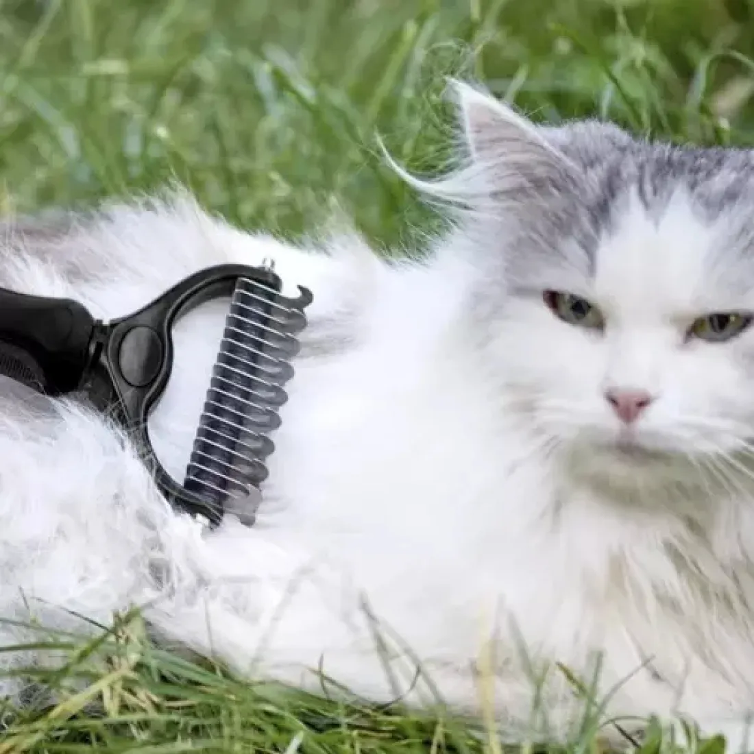 Zastrihávač/hrebeň pre zvieratá