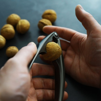 Luskáčik na orechy