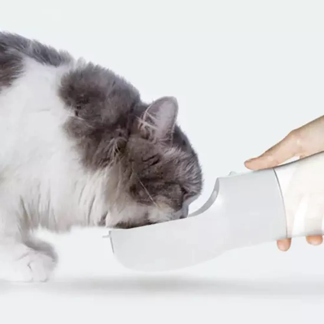 Psí láhev 2v1 300 ml - šedá