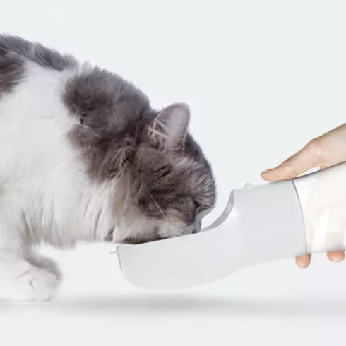 Psí láhev 2v1 300 ml - šedá