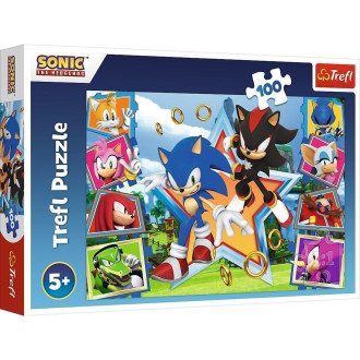 Puzzle 160 ks - Ježko Sonic a priatelia