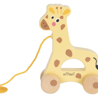 Hrací box ZOO 4v1 - vkládačka + pyramida + tahací hračka