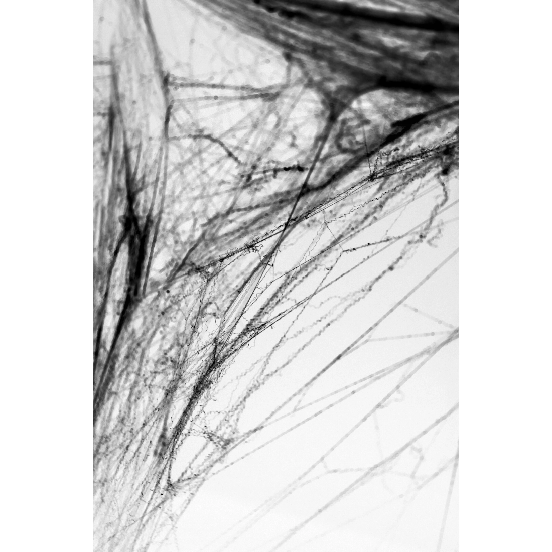 Pânză de păianjen neagră pentru Halloween cu păianjeni, decorațiune 60 g