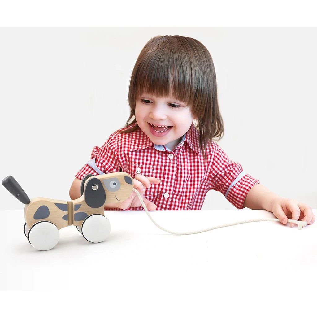 Drevená ťahacia hračka pre deti Viga psík