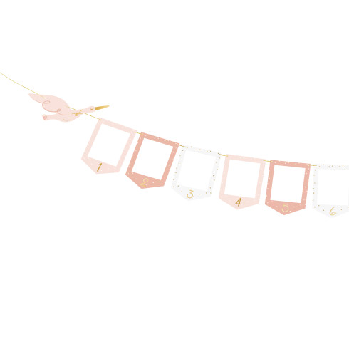 Girlanda za fotografije Dojenček z štorkljo 10,5 × 15 cm, mešane barve