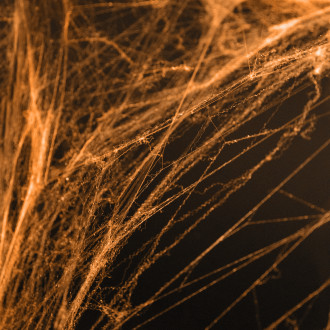 Narancssárga Halloween pókháló pókokkal, dekoráció 60 g