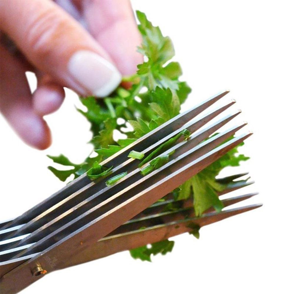 Nožnice na bylinky – pre rovnomerné strihanie byliniek